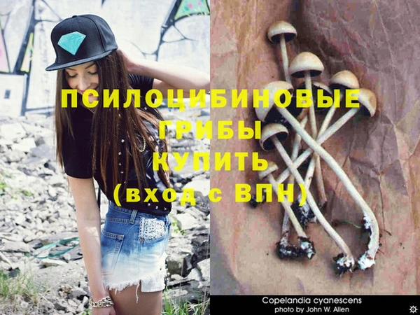 ECSTASY Горнозаводск